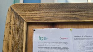 Championing Biodiversity carpentry training programme
